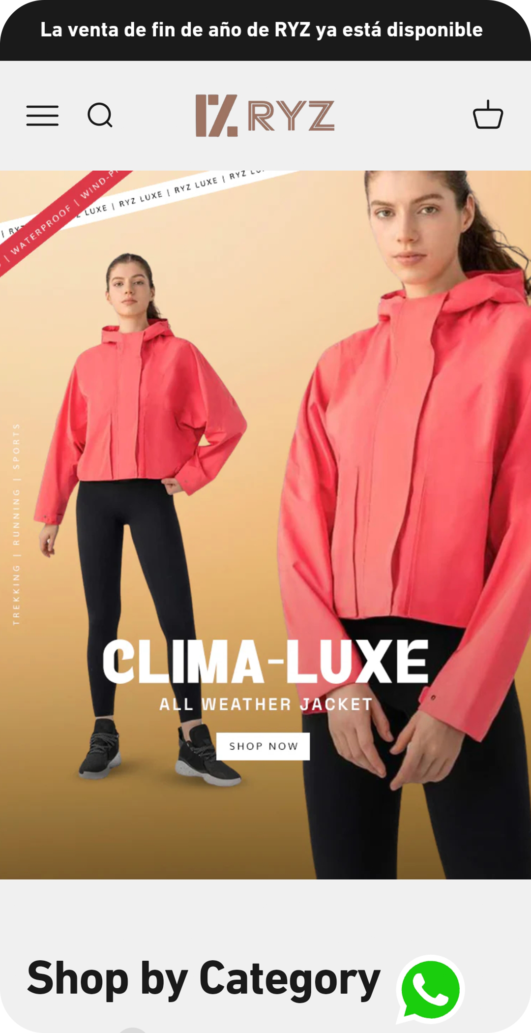 Shopify store design and development services by Shopify expert