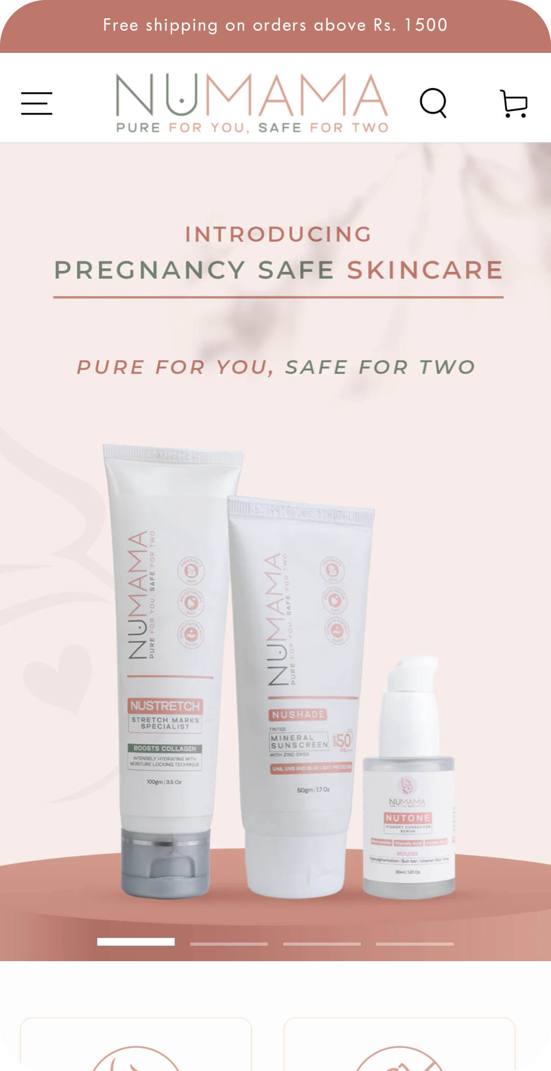 Custom Shopify store built for global ecommerce brand